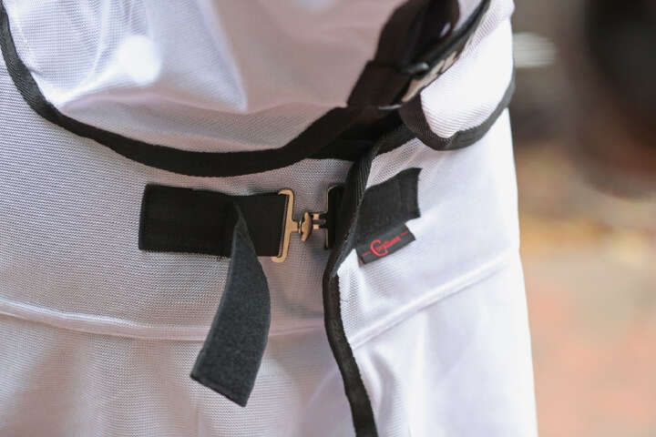 Covalliero Fliegendecke RugBe SuperFly